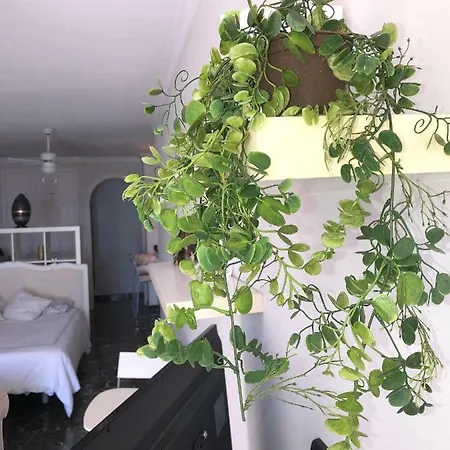 Appartement Estudio Vista Gigantes *